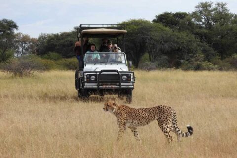 Home - Imvelo Safari Lodges