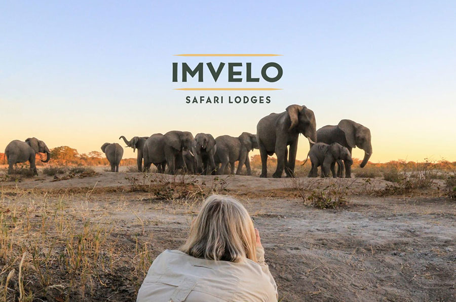 hwange national park safari lodges