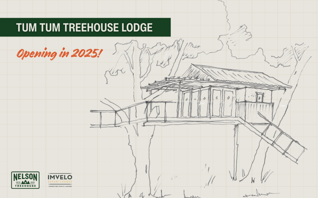 Tum Tum Treehouse Lodge: Building a Safari Lodge in the Trees of Zimbabwe