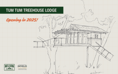 Tum Tum Treehouse Lodge: Building a Safari Lodge in the Trees of Zimbabwe