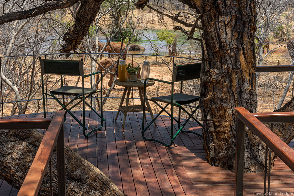 In the Trees at Tum Tum