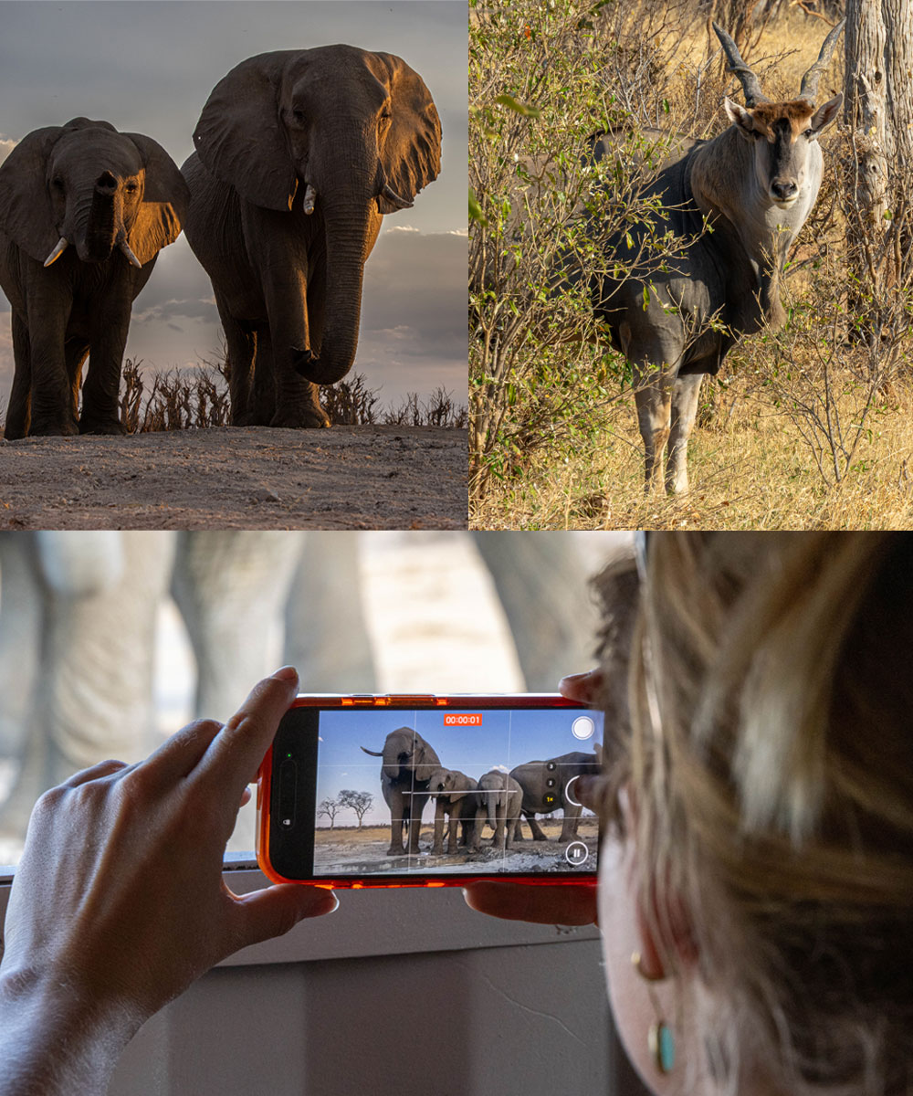 Tum-Tum-Activities-Collage